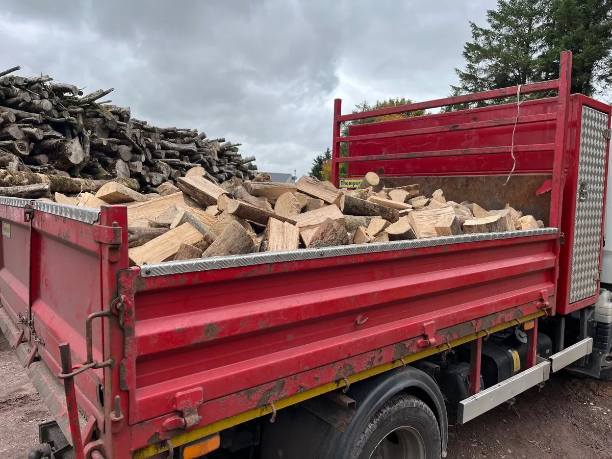 Firewood - Image 2