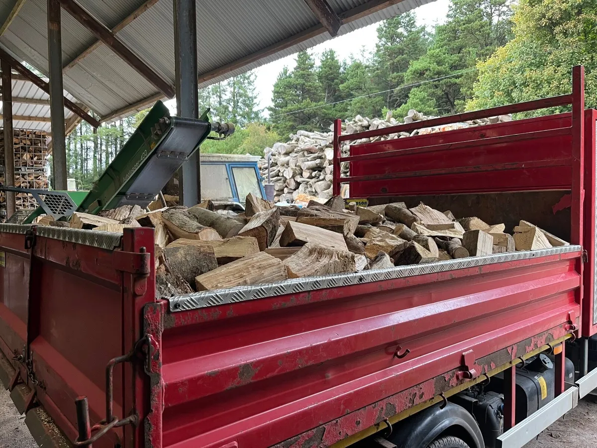 Firewood - Image 4
