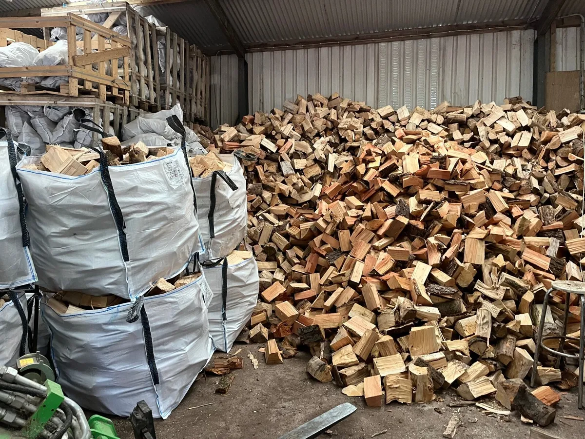 Firewood - Image 1