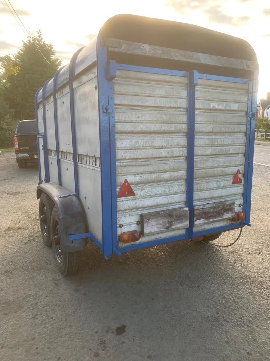 Ifor Williams 10ft cattle trailer - Image 2