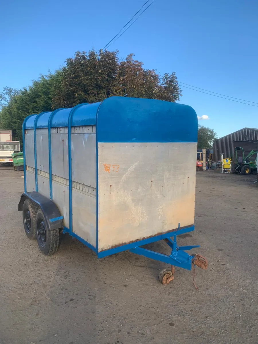 Ifor Williams 10ft cattle trailer - Image 1