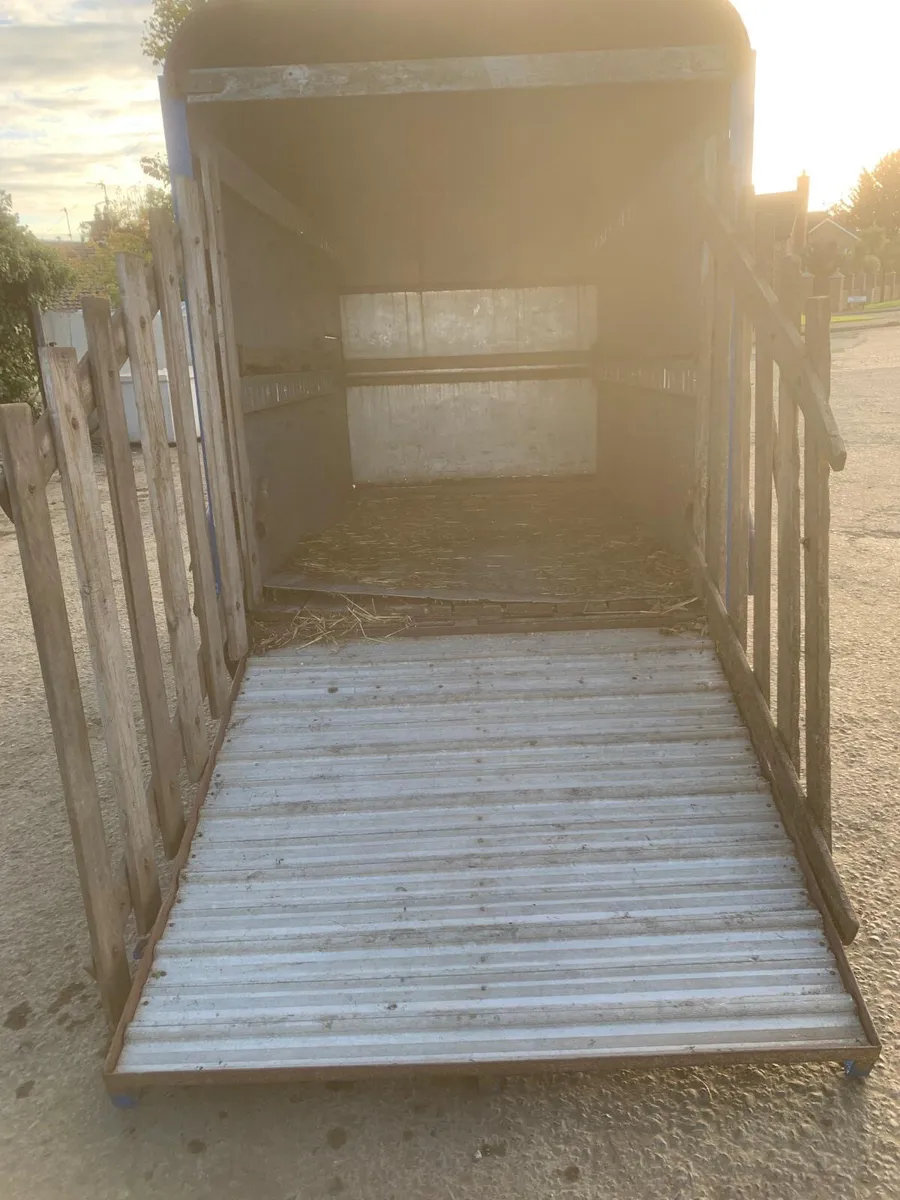 Ifor Williams 10ft cattle trailer - Image 3