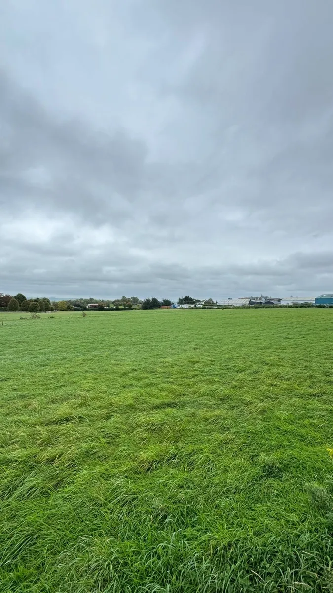 Silage Bales - Image 1