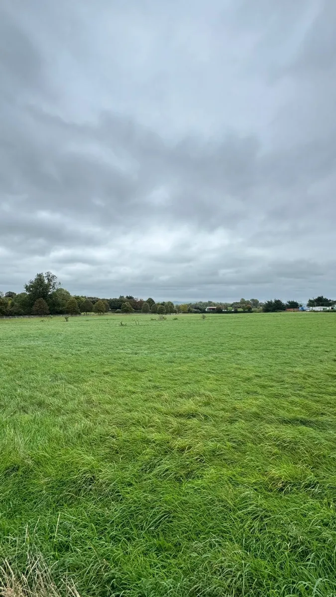 Silage Bales - Image 2
