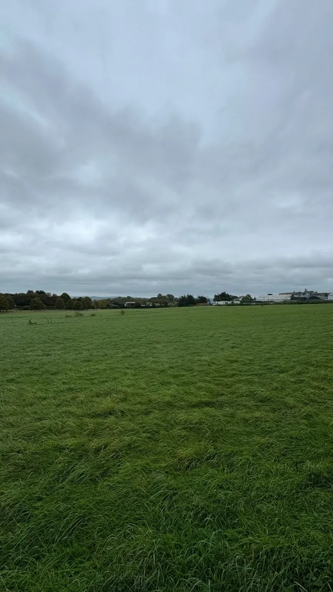Silage Bales - Image 3