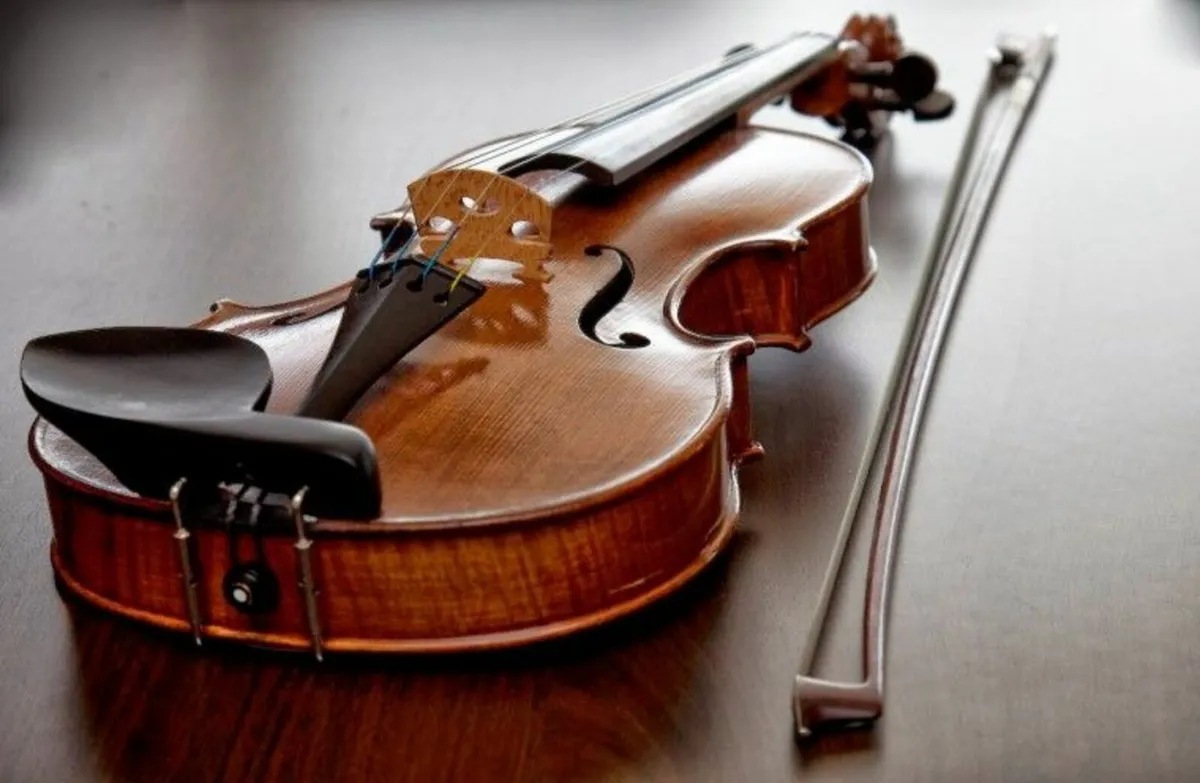 Hidersine Piacenza 4/4 "Finetune" Violin Set w/Bow - Image 4