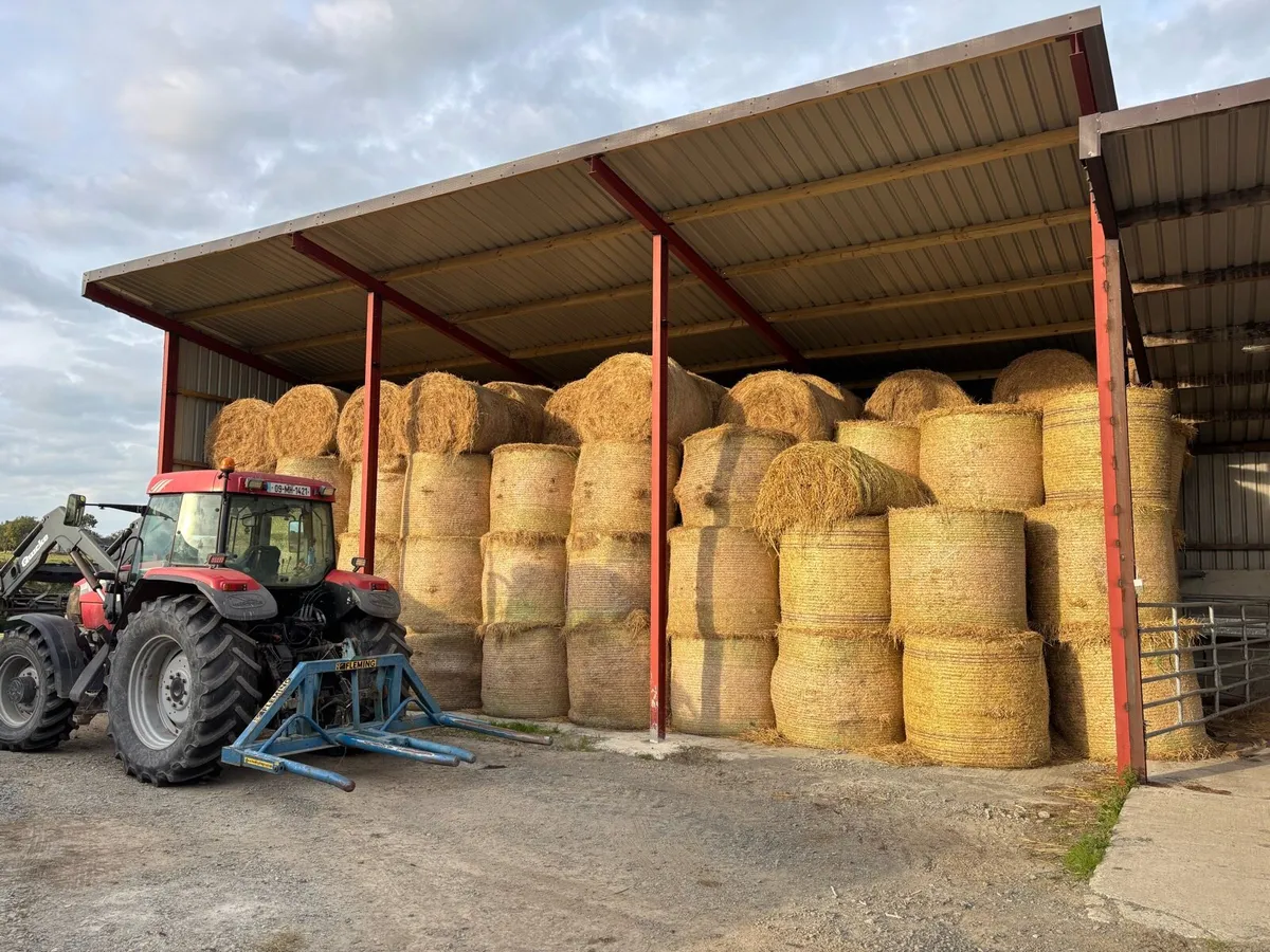 Hay
