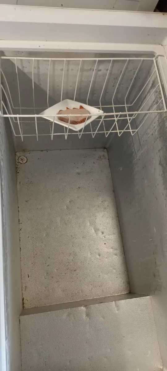 Compact Chest Freezer. - Image 1