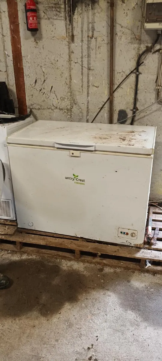 Compact Chest Freezer. - Image 3
