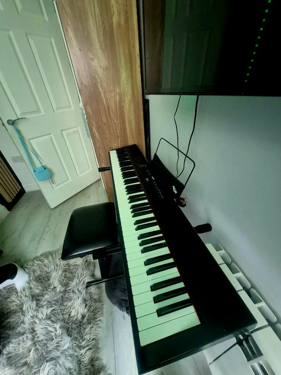 SDP-2 STAGE PIANO - Image 2