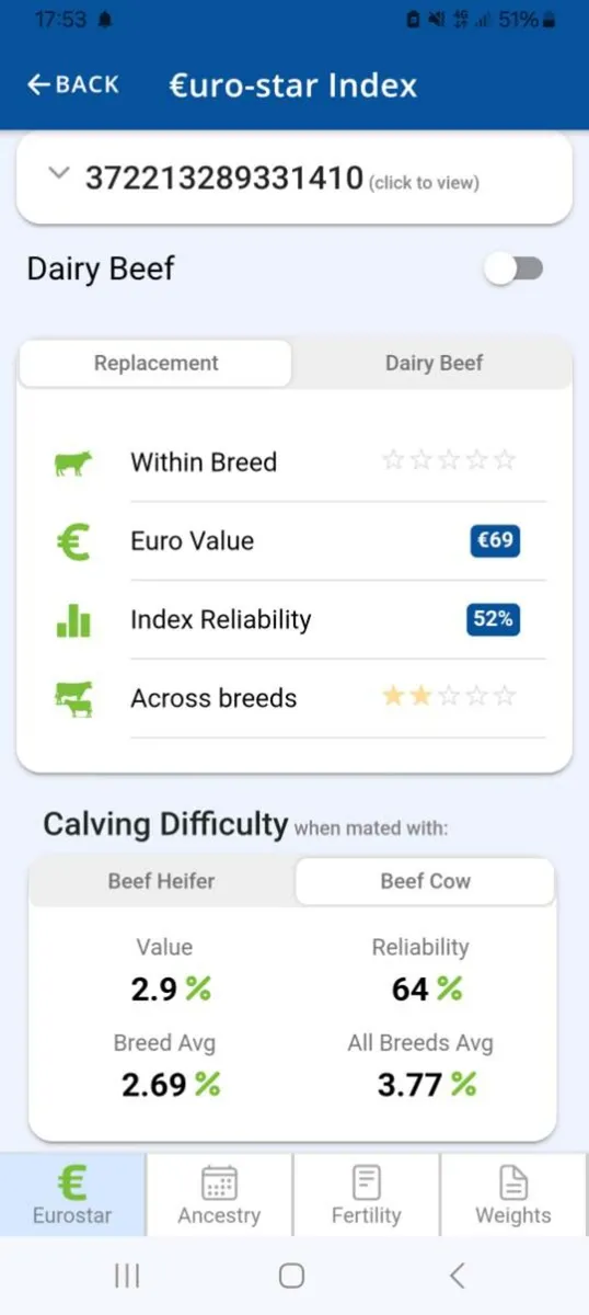 Cow - Image 4