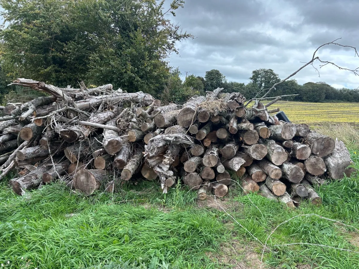 Logs Firewood - Image 1