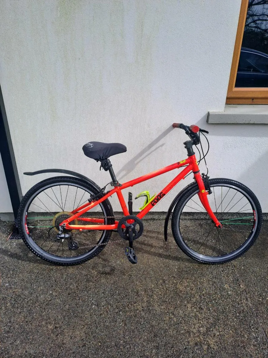 Frog bike - Image 1
