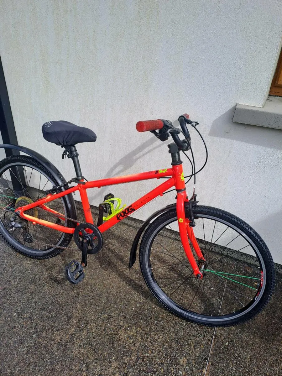 Frog bike - Image 2