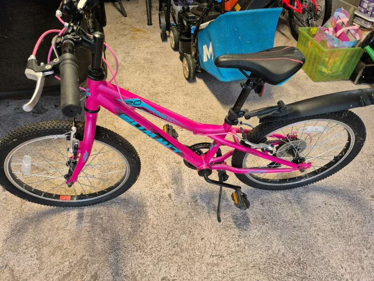 Girls Bike 20 Inch - Image 1