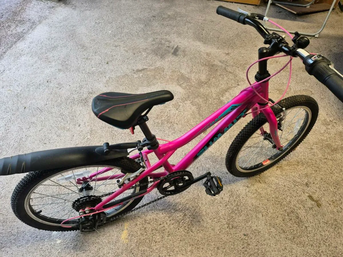 Girls Bike 20 Inch - Image 2