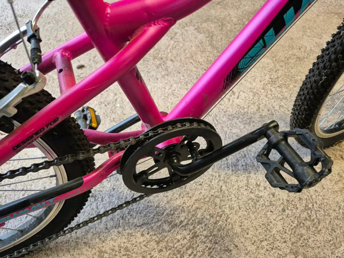 Girls Bike 20 Inch - Image 4
