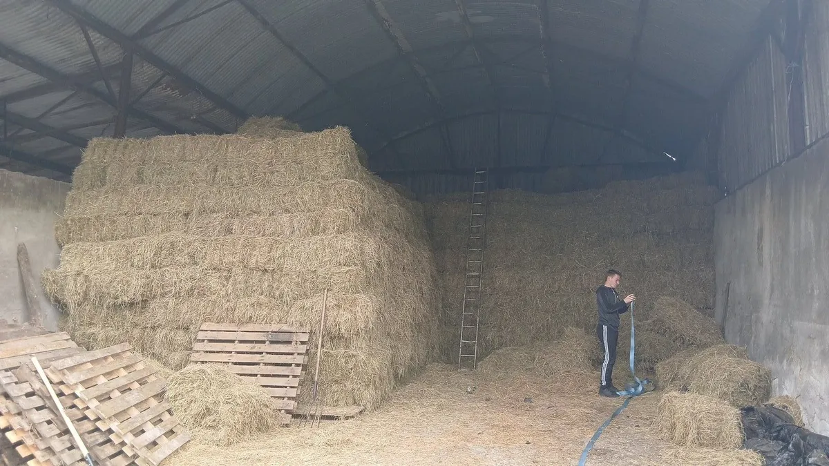 Square and round bales of hay - Image 1