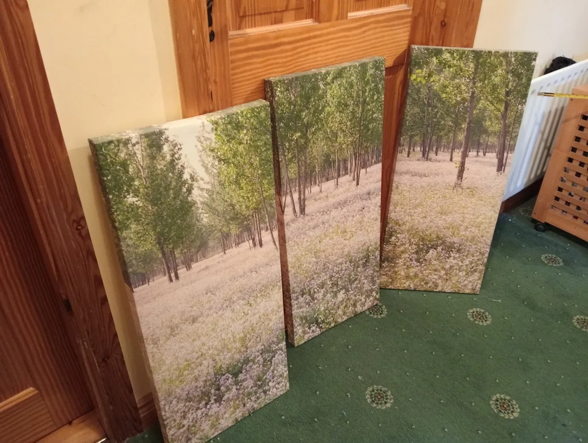 Pictures - Image 2