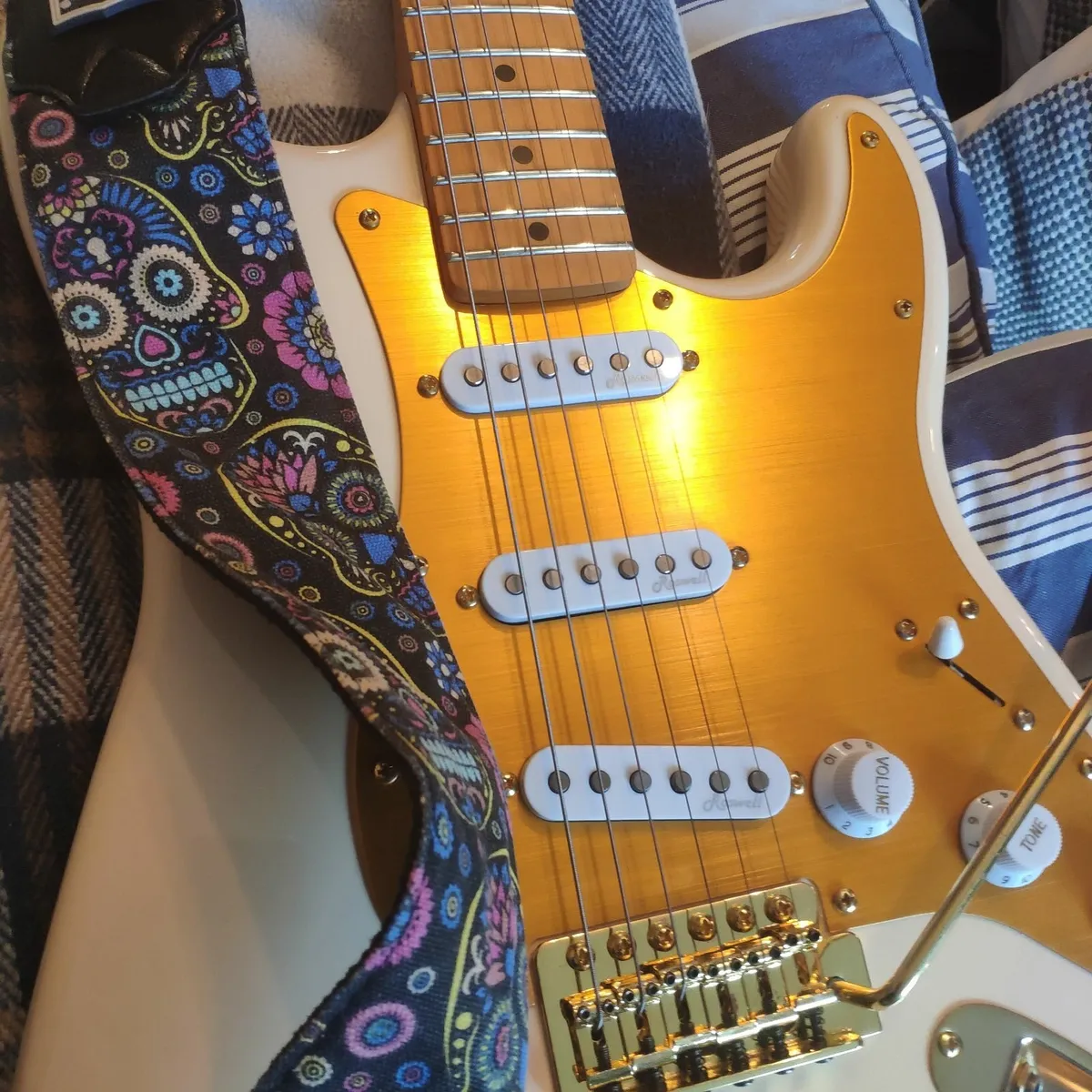Harley Benton Guitar - Image 1