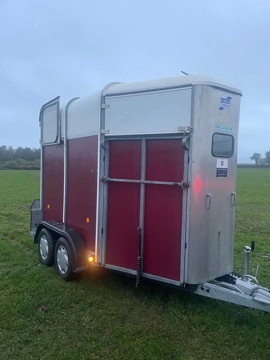 Horse box Ifor Williams 505 - Image 1