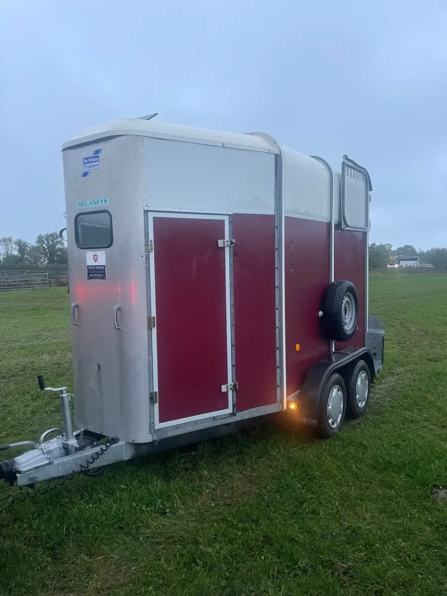 Horse box Ifor Williams 505 - Image 2
