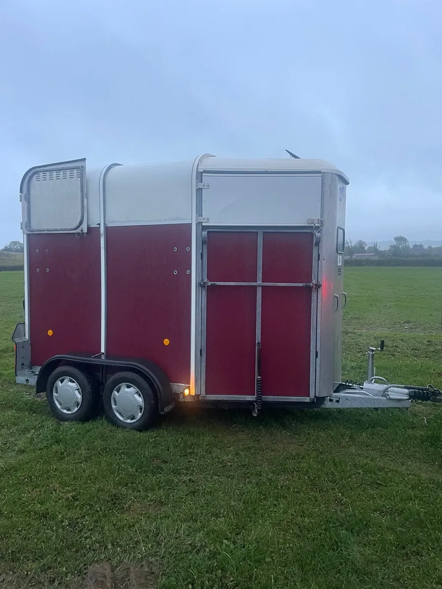 Horse box Ifor Williams 505 - Image 3