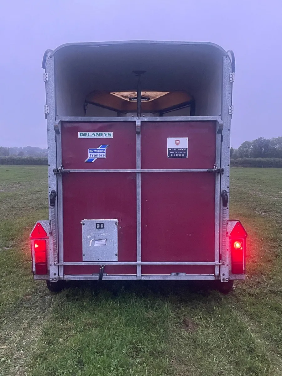 Horse box Ifor Williams 505 - Image 4