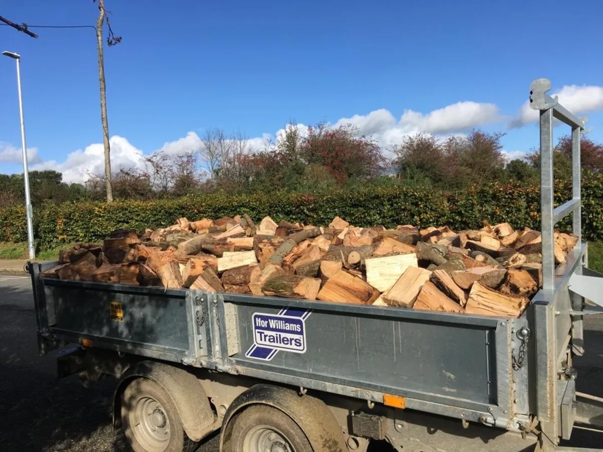 Firewood - Image 3