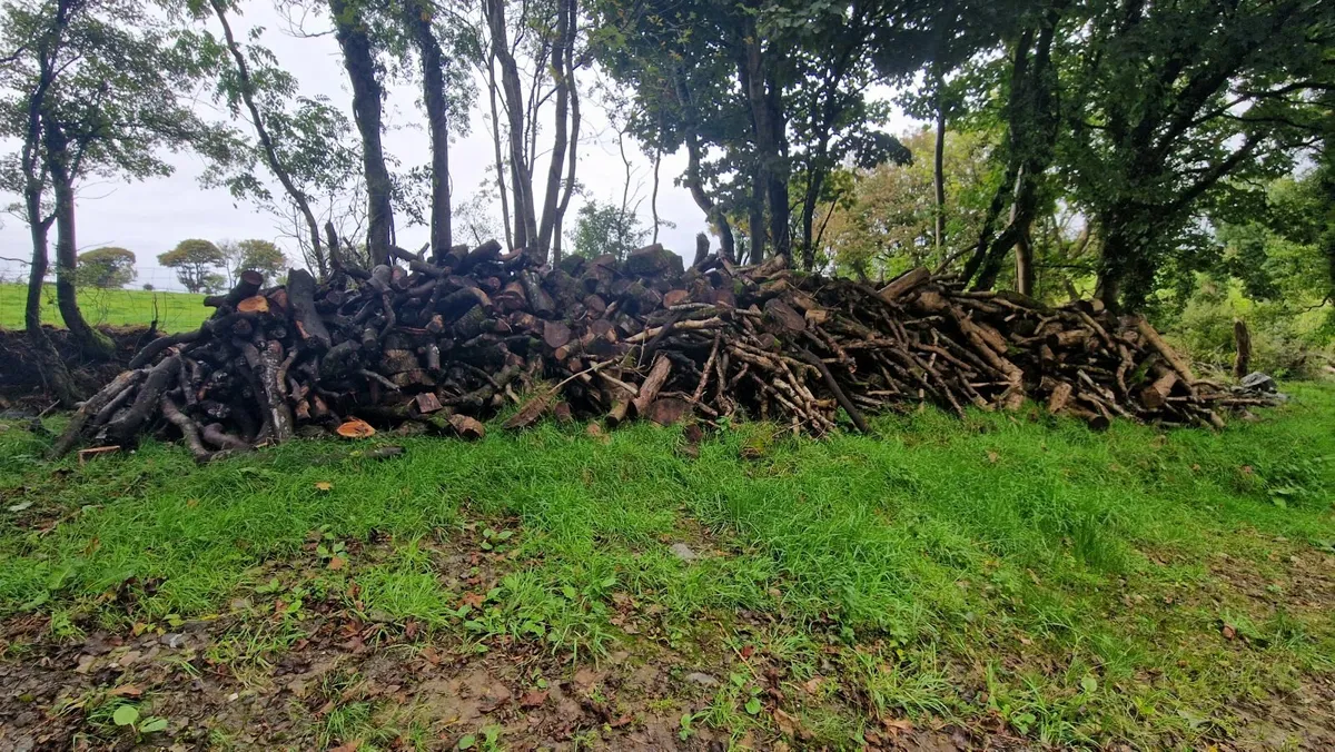 Firewood to chop - Image 4