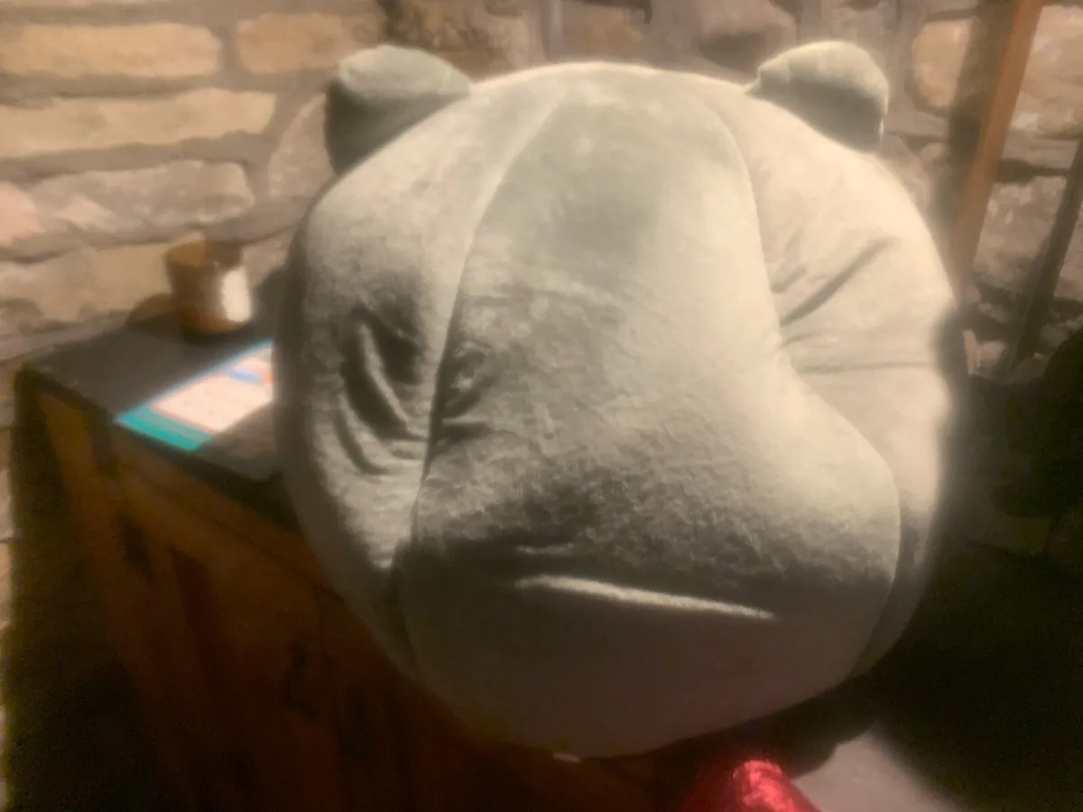 Cat bed - Image 1