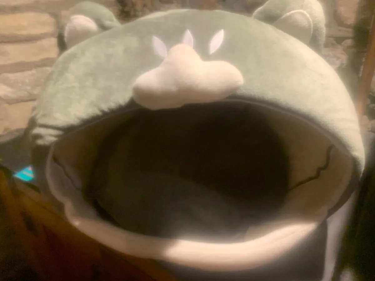 Cat bed - Image 2