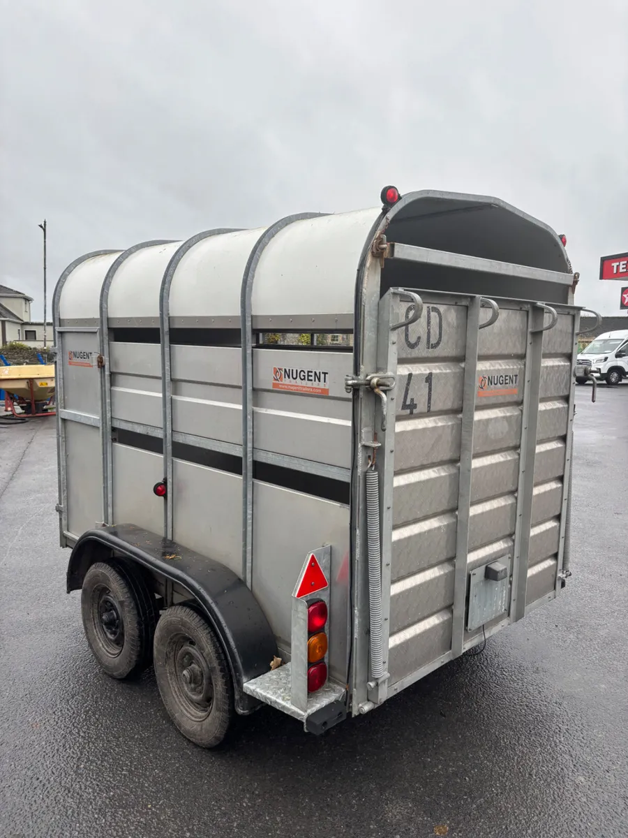 nugent 8ft livestock trailer - Image 3