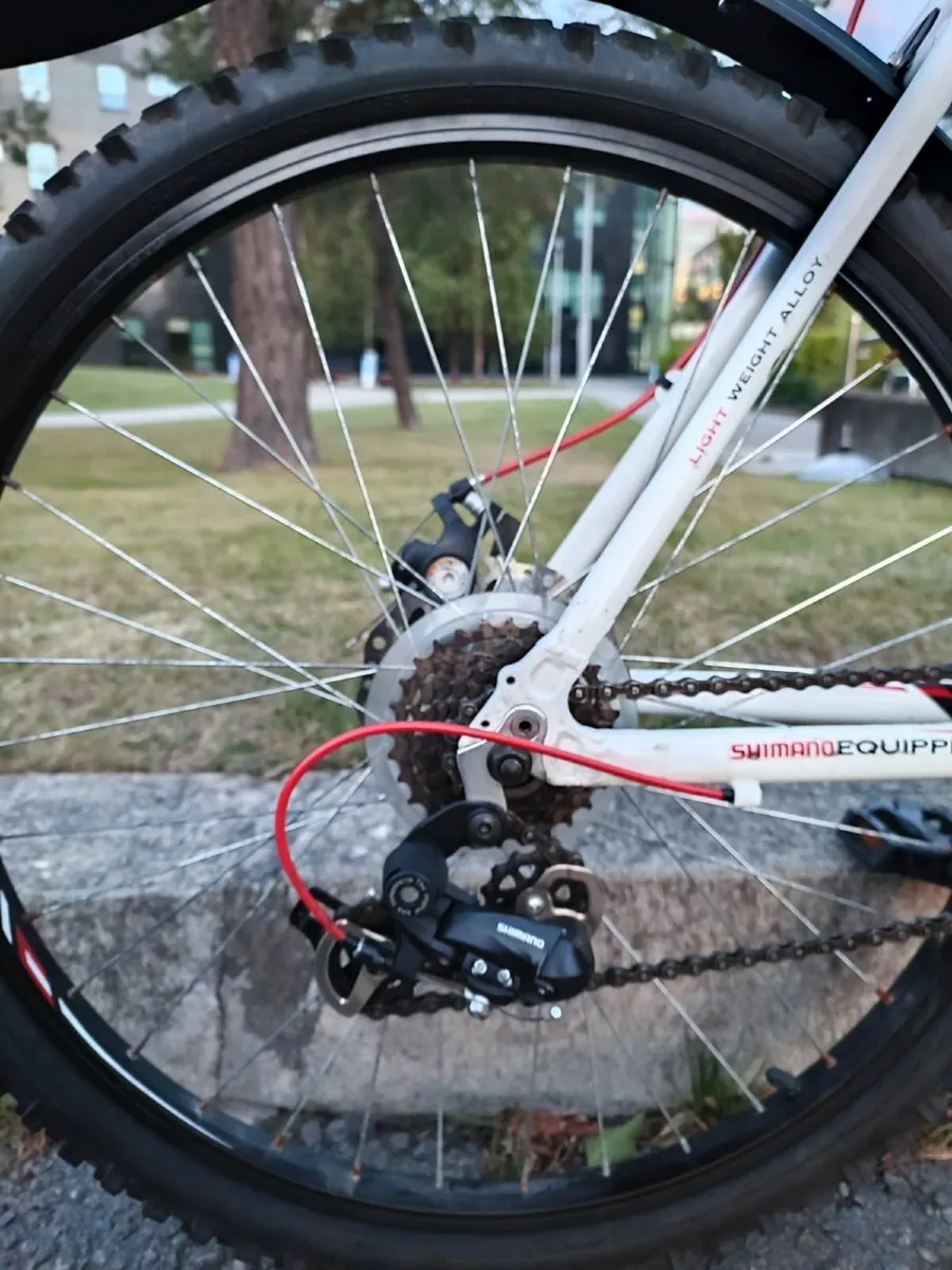 Apollo Evade Mountain Bike - Image 1