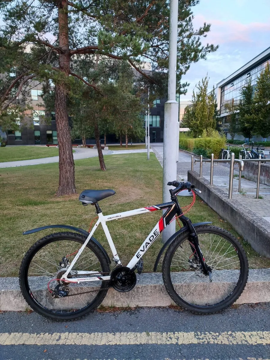 Apollo Evade Mountain Bike - Image 3