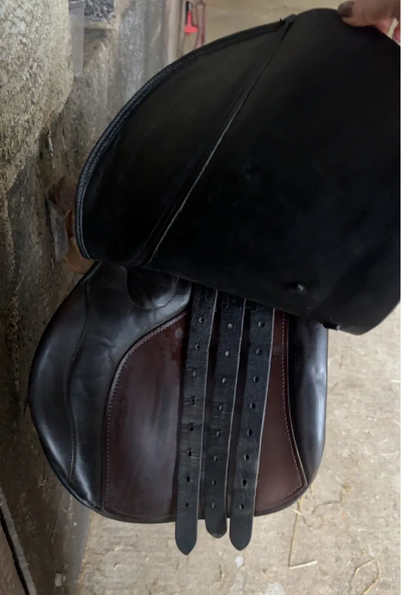 17inch Berney Saddle - Image 3
