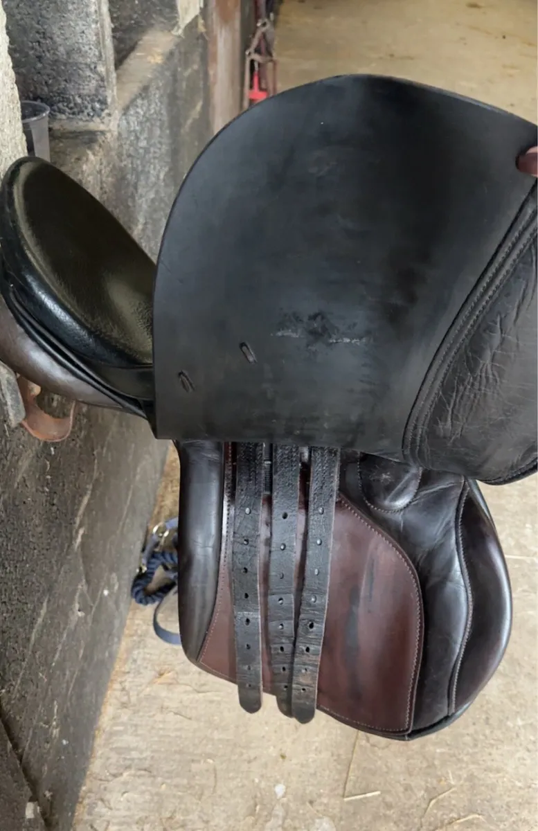 17inch Berney Saddle - Image 4