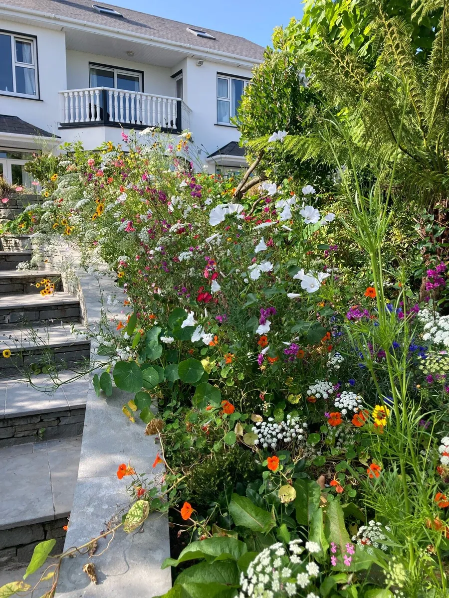 Gardening services - Image 1