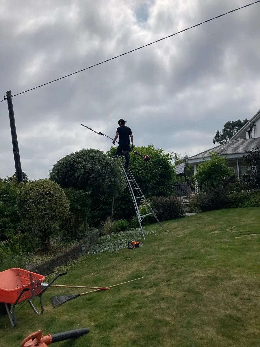 Gardening services - Image 2