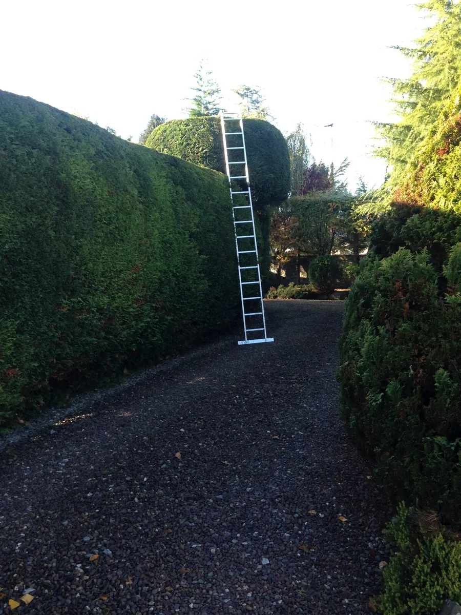 Gardening services - Image 3