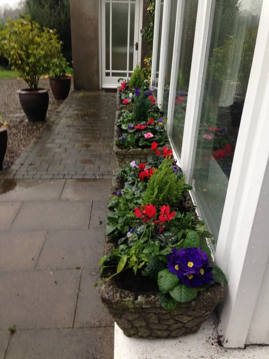 Gardening services - Image 4