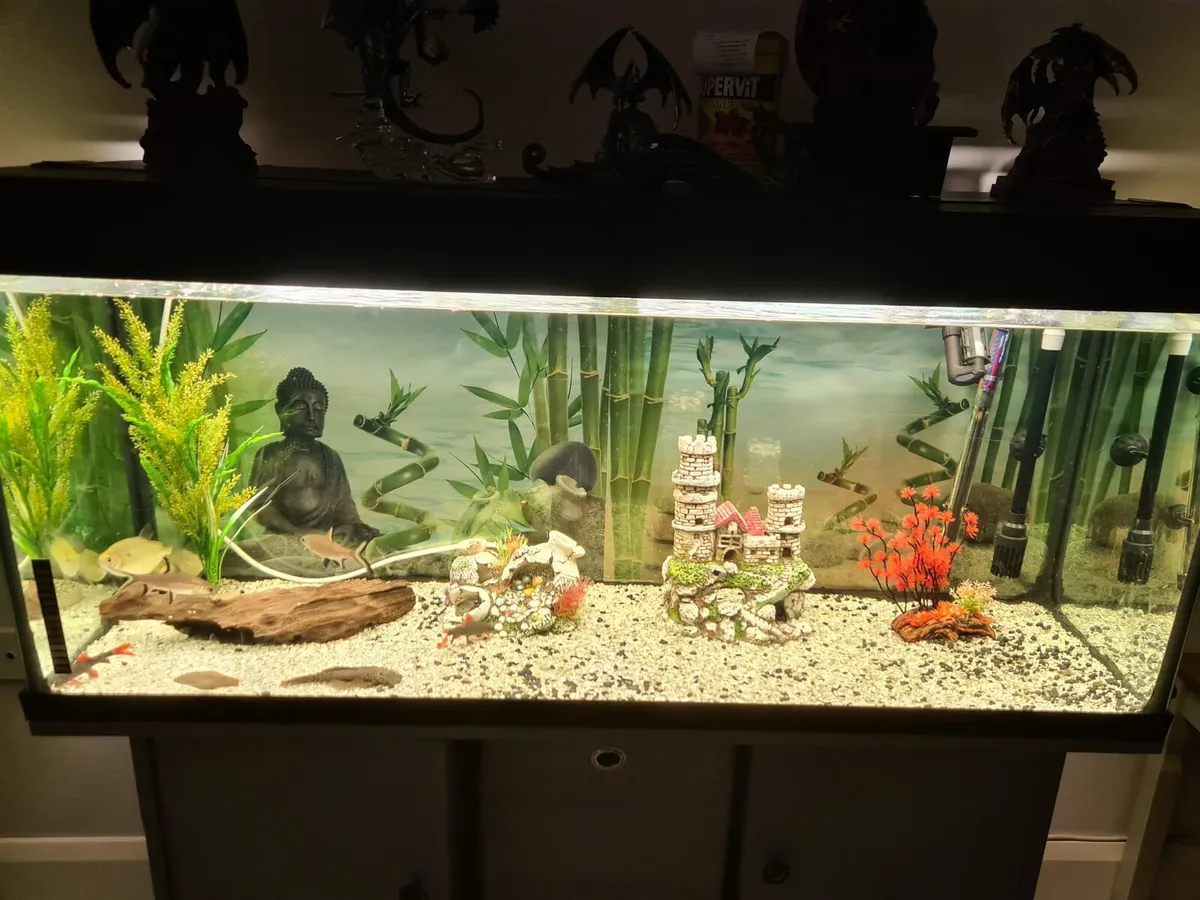 Exquisite Fish tank - Image 3