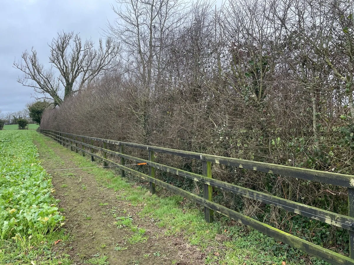 Timber rails - Image 1