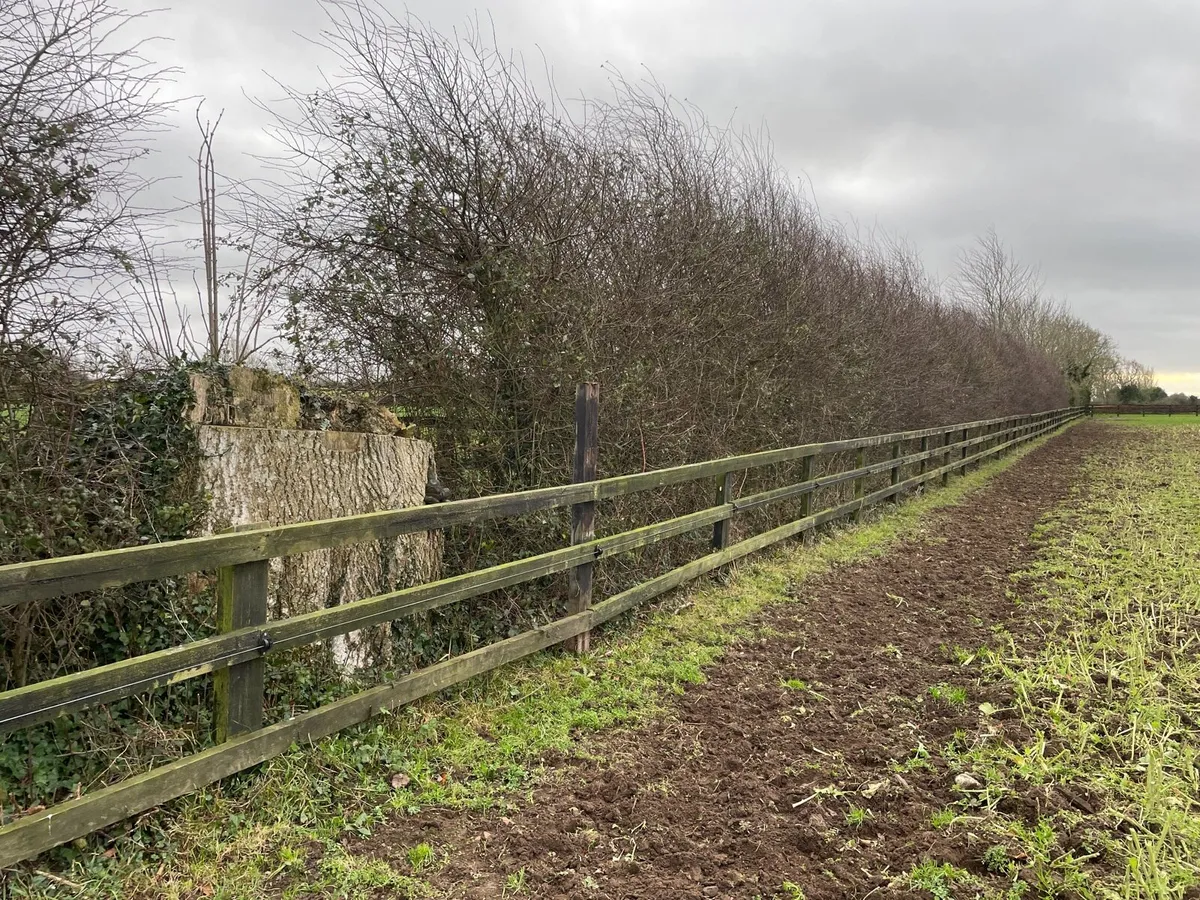 Timber rails - Image 2