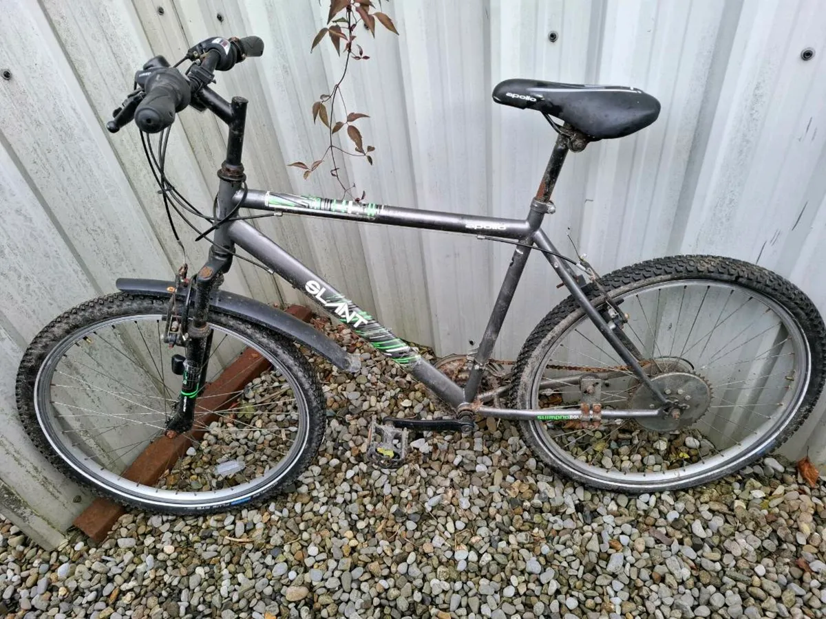 Free bike