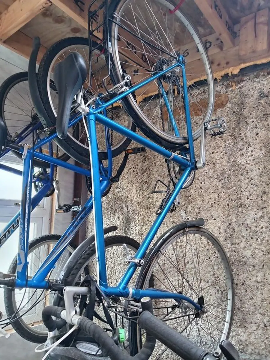 Bikes for sale - Image 2