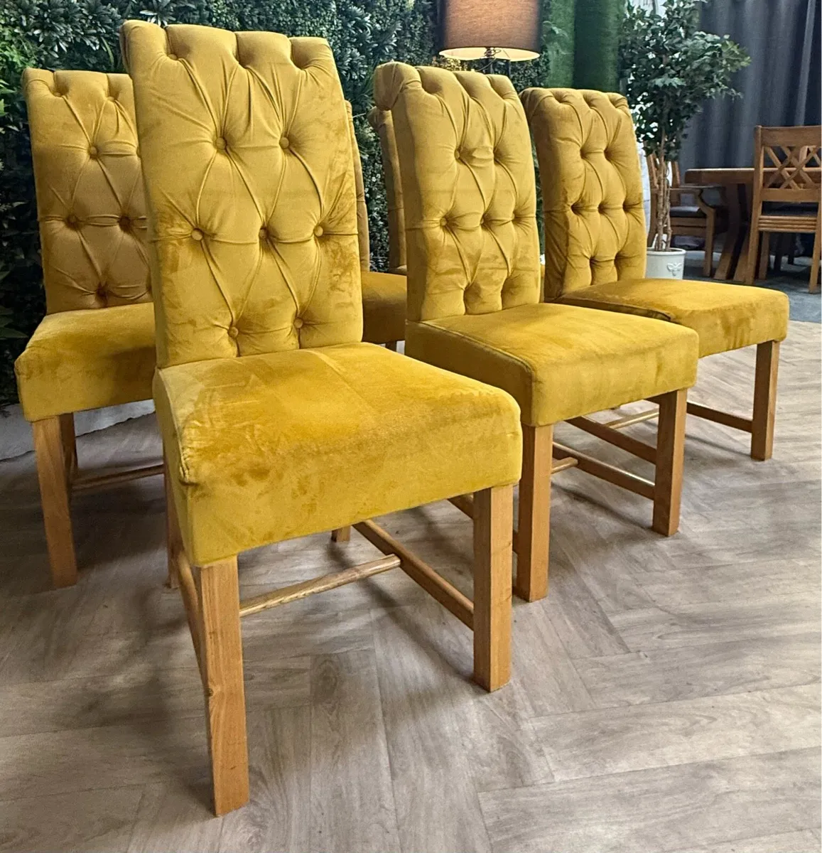 6 Velvet dining chairs - Image 1