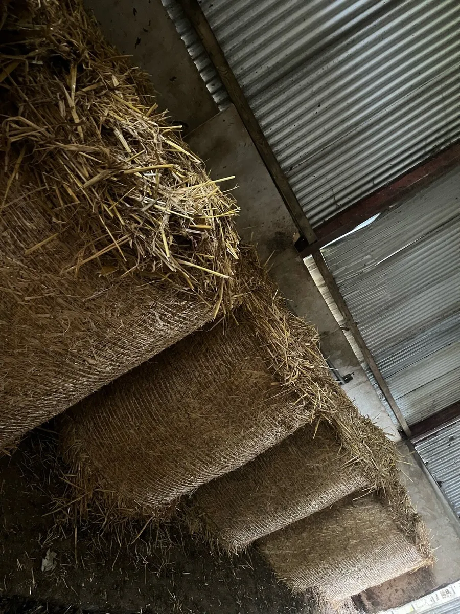 Straw