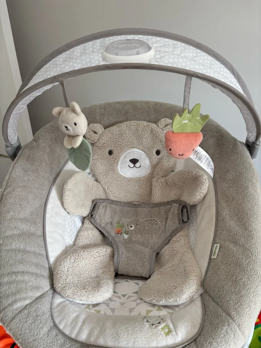 ingenuity baby rocker - Image 1