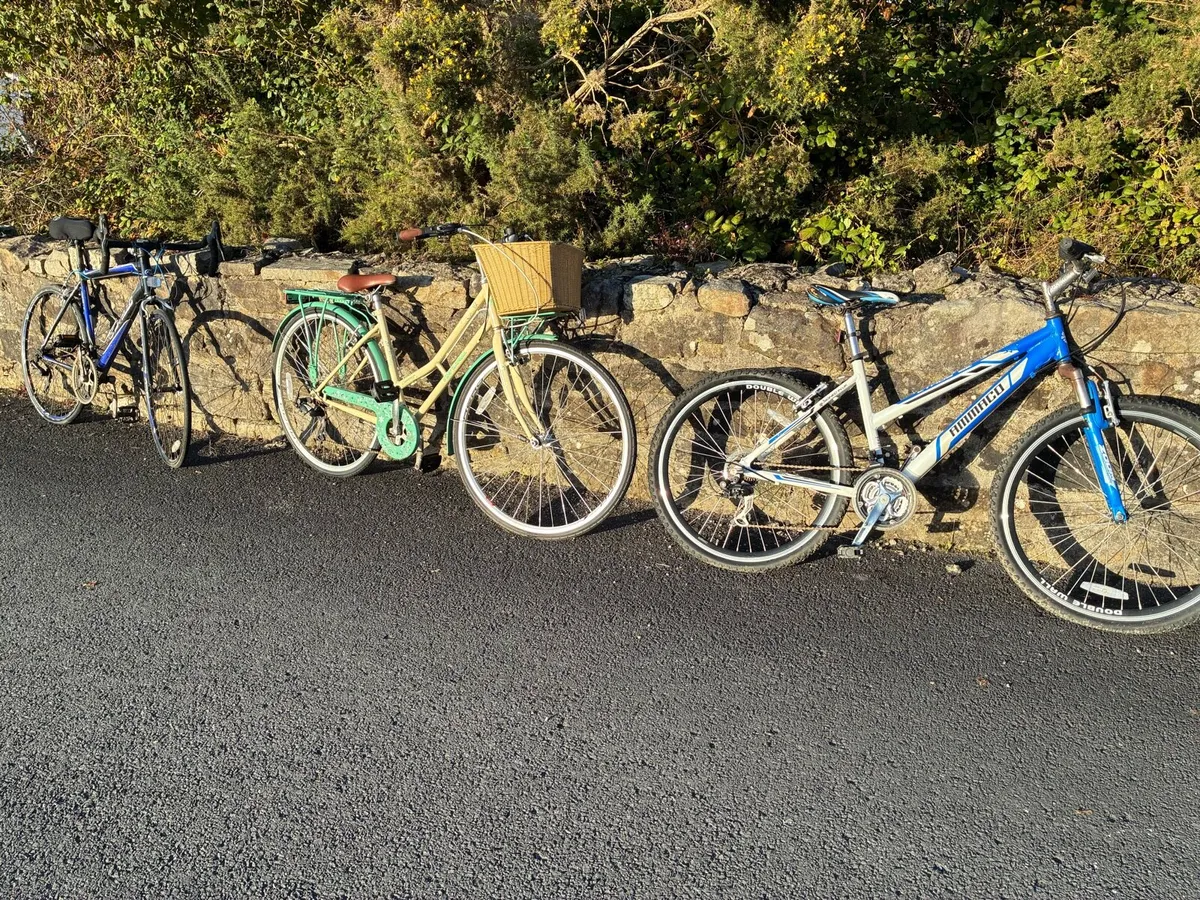 Bicycles x 3 - Image 1